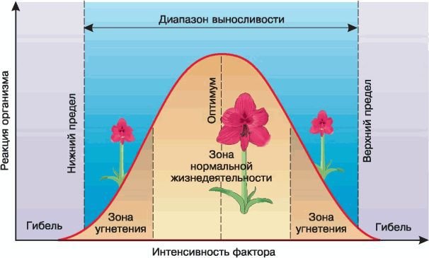 Биология. Общая биология. Базовый уровень. 11 класс - i_067.jpg