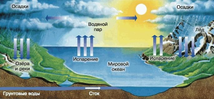 Биология. Общая биология. Базовый уровень. 11 класс - i_087.jpg