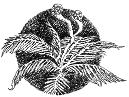 Софья и Царство Тьмы - i_012.png