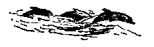 Одиссея капитана Блада - pic_36.png