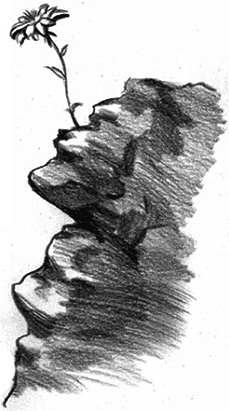 Каникулы Петрова и Васечкина - i_017.png