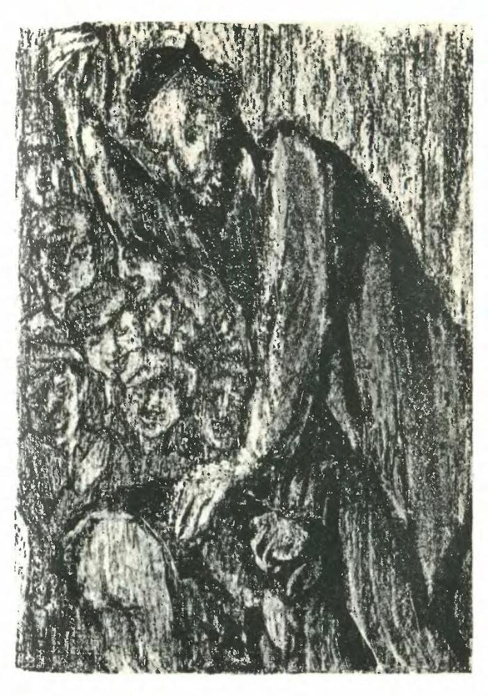 Тевье-молочник. Повести и рассказы - p11.jpg