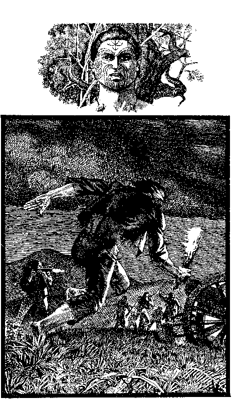 Птица войны - pic_10.png