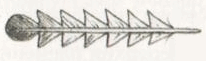 Индейцы Великих равнин - i_260.png