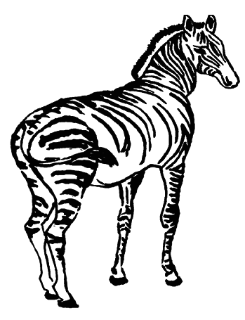 Кто есть кто в мире животных - i_012.png