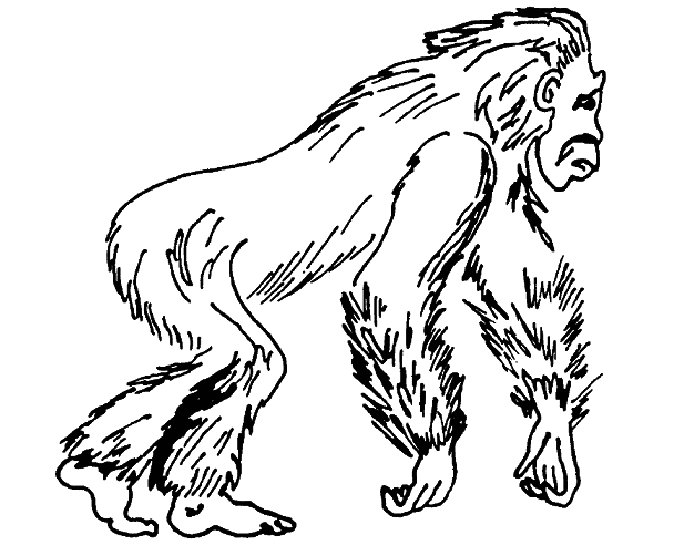 Кто есть кто в мире животных - i_013.png