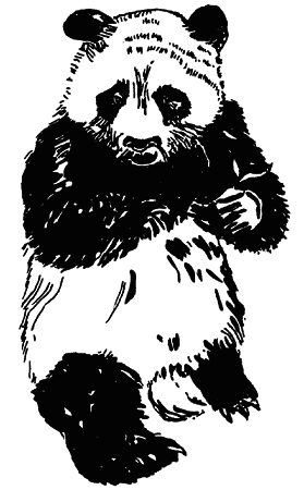 Кто есть кто в мире животных - i_016.png