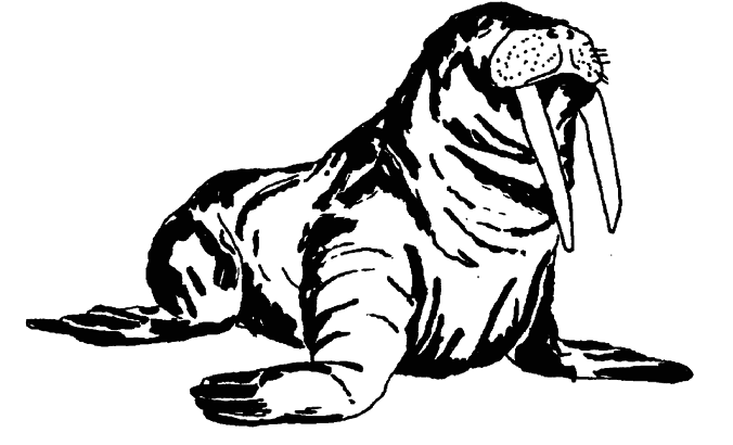 Кто есть кто в мире животных - i_017.png