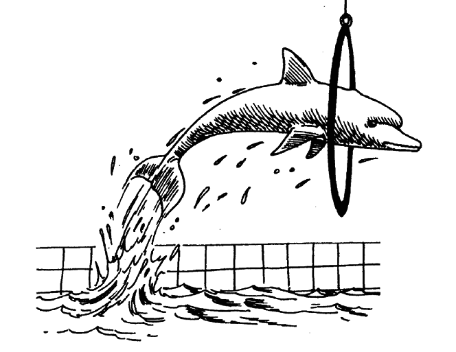 Кто есть кто в мире животных - i_020.png