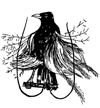 Кто есть кто в мире животных - i_026.png