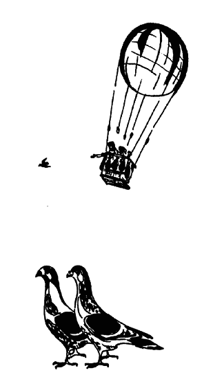 Кто есть кто в мире животных - i_028.png
