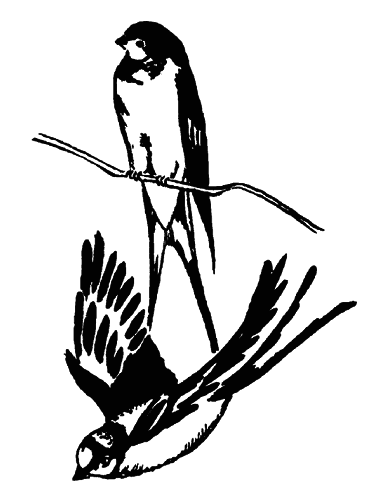 Кто есть кто в мире животных - i_029.png