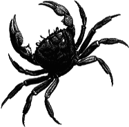 Кто есть кто в мире животных - i_031.png