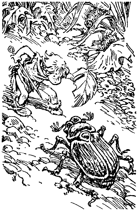 Приключения Алисы. Том 7. Война с лилипутами - pic_7.png