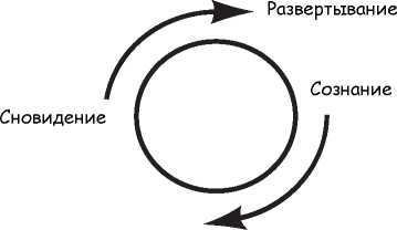 Квантовый ум. Грань между физикой и психологией - i_008.jpg