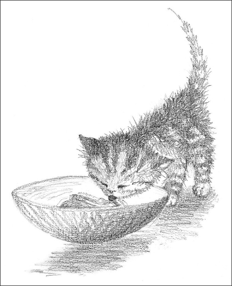 Котёнок Пушинка, или Рождественское чудо - i_028.jpg