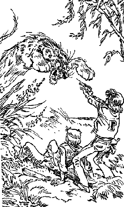 Девочка с Земли (илл. Е. Мигунова) - pic_30.png