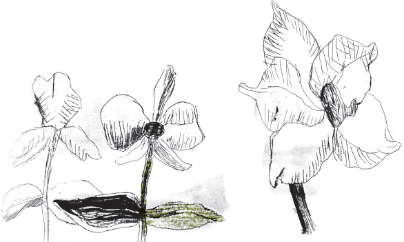 Пока нормально - i_037.png