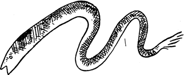 Дневник Джанни Урагани - i_059.png