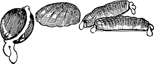 Дневник Джанни Урагани - i_066.png