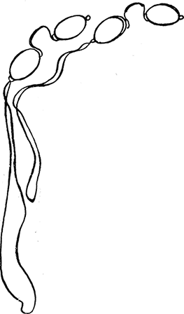 Дневник Джанни Урагани - i_092.png