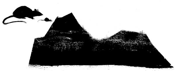 Плащ крысолова (сборник) - kamen.png