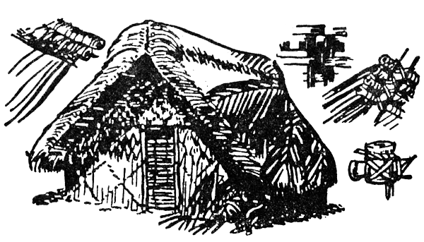 Охота за головами на Соломоновых островах - i_046.png