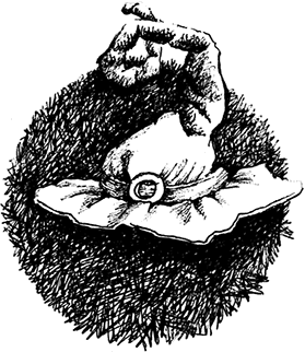 Волшебное наследство - i_033.png