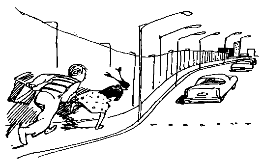 Приключения жёлтого чемоданчика (Художник В. Горяев) - pic_27.png