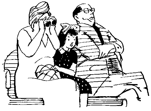 Приключения жёлтого чемоданчика (Художник В. Горяев) - pic_41.png