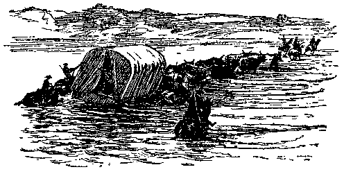 Дети капитана Гранта (илл. П. Луганского) - pic_24.png