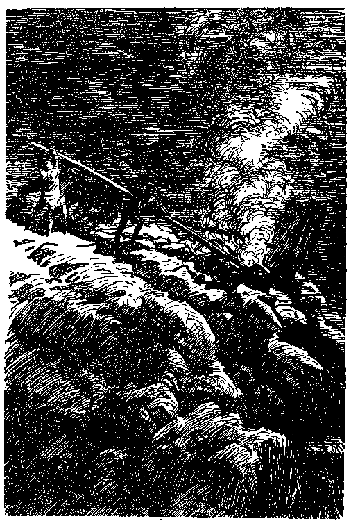 Дети капитана Гранта (илл. П. Луганского) - pic_42.png