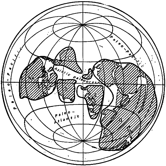 Что произошло 600 миллионов лет назад - i_045.png