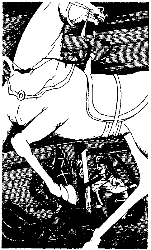 Талисман. Легенда о Монтрозе - pic_7.png