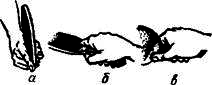 Учись играть в настольный теннис - any2fbimgloader9.png