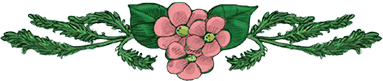 Сказки Изумрудного Леса - i_022.png