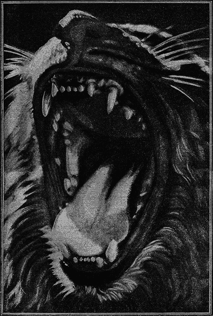 Всемирный следопыт 1926 № 06 - _19_pasttigra.png