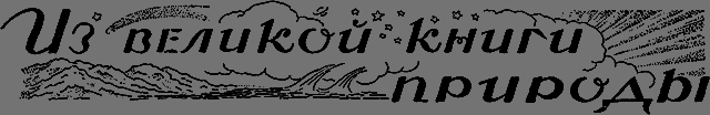 Всемирный следопыт 1926 № 06 - _51_izknigi.png