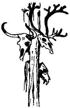 Земля Санникова (илл. Г. Никольского) - pic_25.png