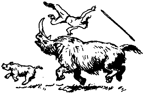 Земля Санникова (илл. Г. Никольского) - pic_26.png