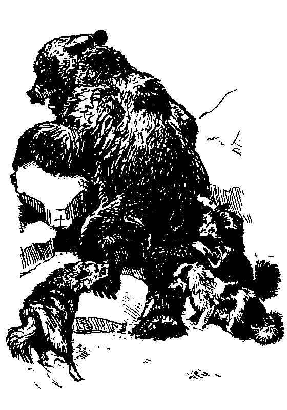 Земля Санникова (илл. Г. Никольского) - pic_27.png