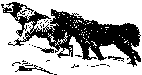 Земля Санникова (илл. Г. Никольского) - pic_28.png