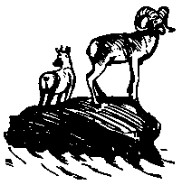 Земля Санникова (илл. Г. Никольского) - pic_50.png