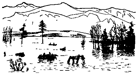 Земля Санникова (илл. Г. Никольского) - pic_51.png