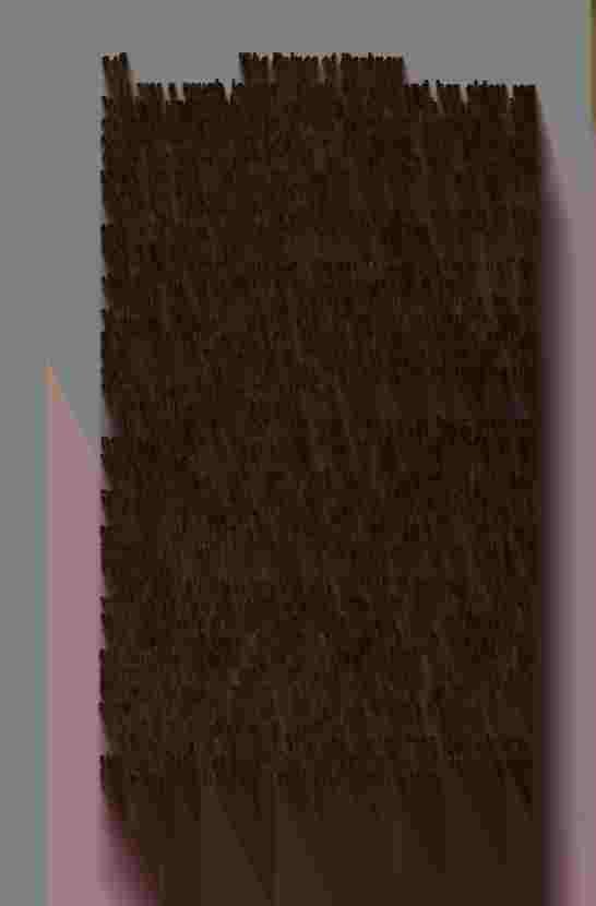 The Prince of Darkness - _494.jpg