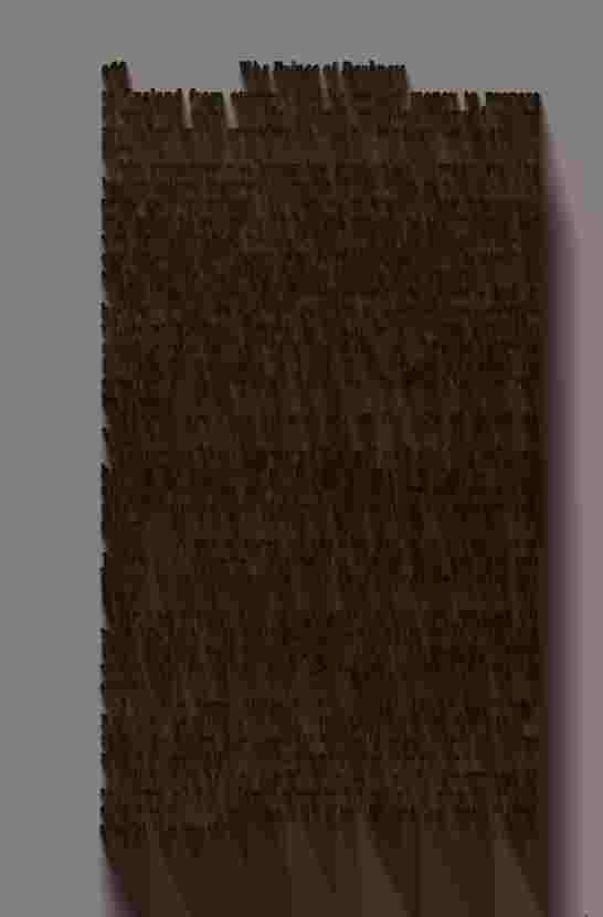 The Prince of Darkness - _534.jpg