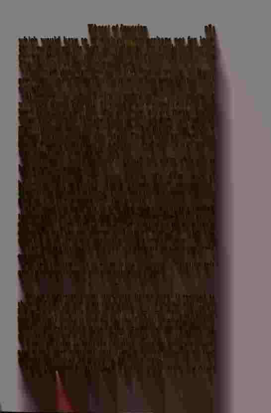 The Prince of Darkness - _564.jpg