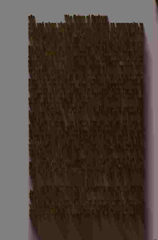 The Prince of Darkness - _566.jpg