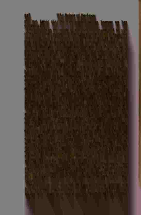 The Prince of Darkness - _514.jpg