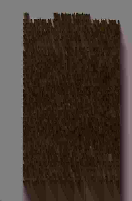 The Prince of Darkness - _323.jpg